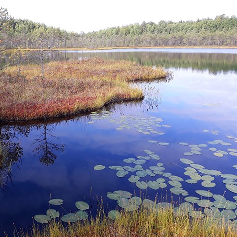 Lake