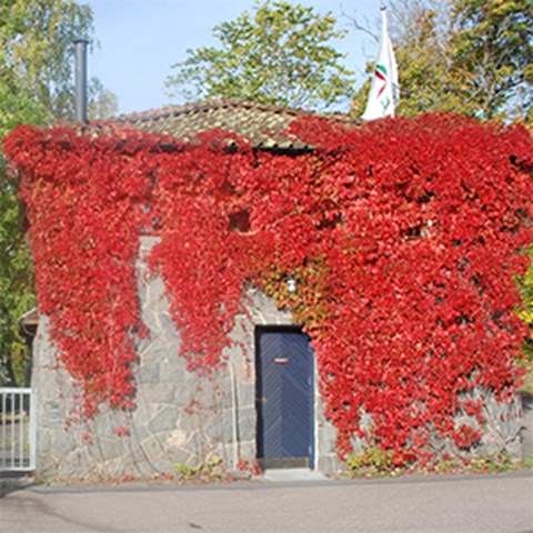 The stone house at Brobacken in Älvkarleby where the Fisheries Research Station at SLU Aqua is located. Photo.