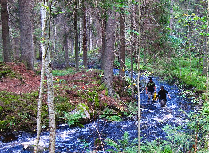 Elfiske i vattendrag. Foto.