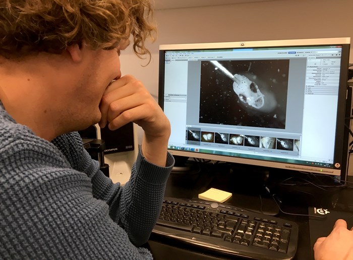 Man sitting in front of a computer screen and watching a fish picture. Photo.