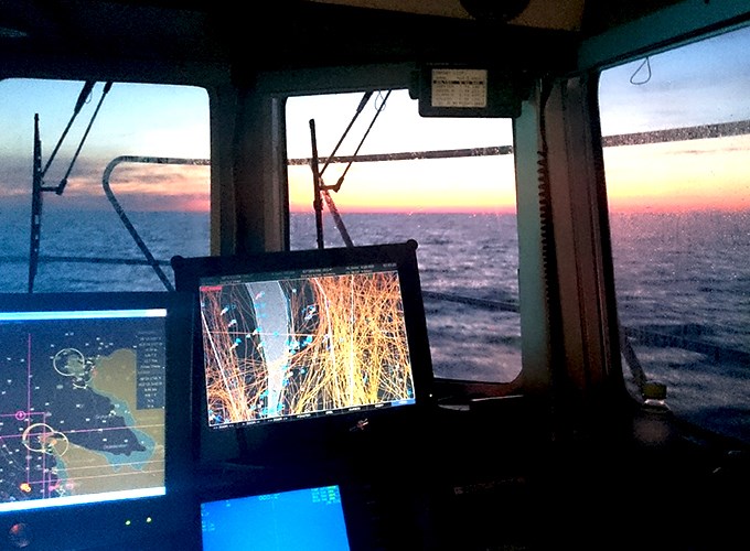 Commercial fishing of sea lobster. Photo.
