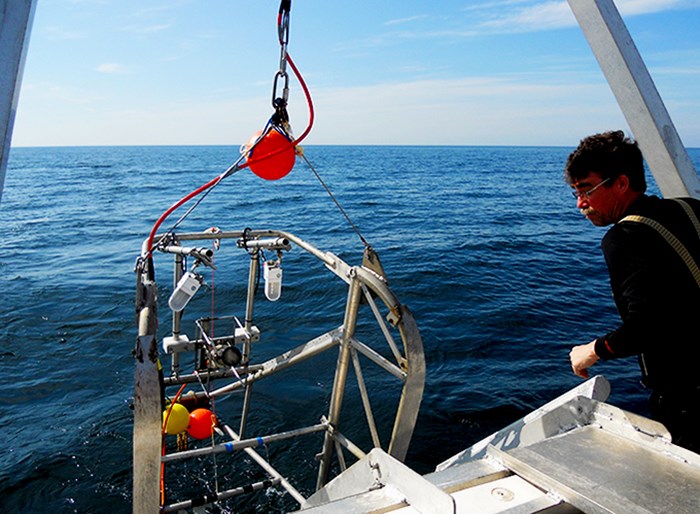  SLU Aqua surveys the occurrence of Norwegian lobster from the research vessel Asterix. Photo.