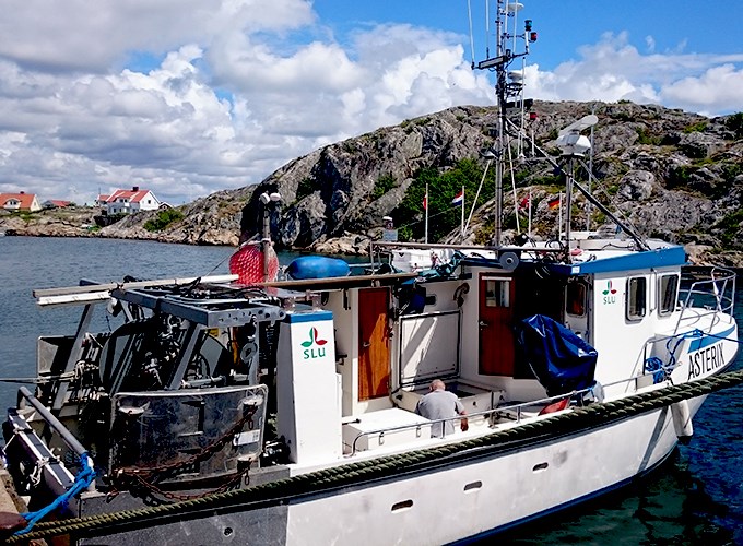  The survey vessel Asterix in the harbour. Photo.
