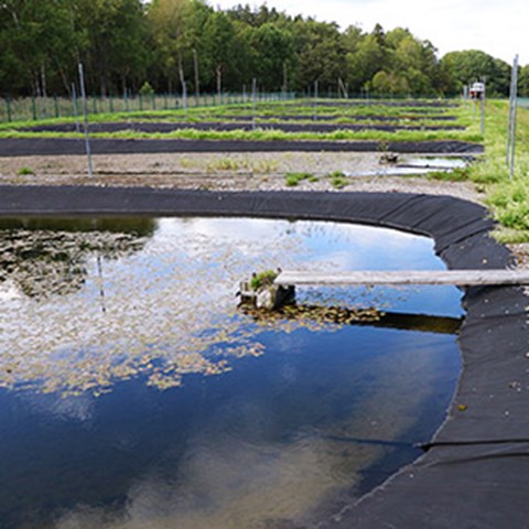Försöksdammar. Foto.