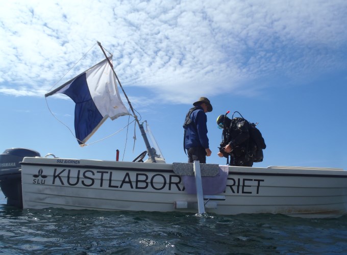 Dykare i båt. Foto.