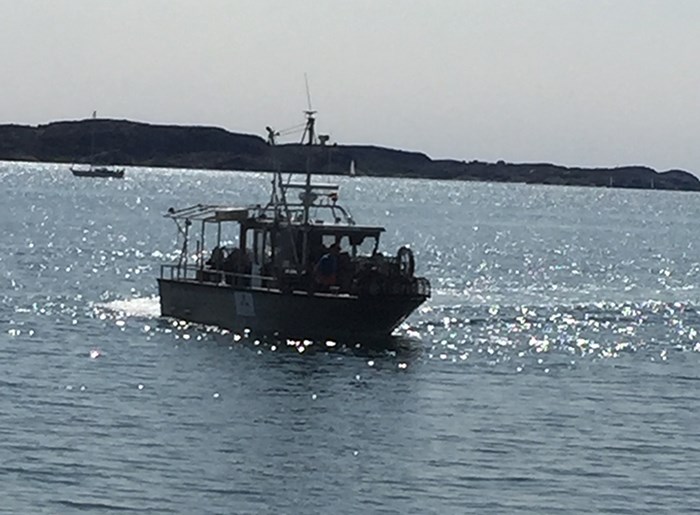 Forskningsbåten Hålabben gör en trendig sväng på ett glittrigt hav på väg in i hamnen.