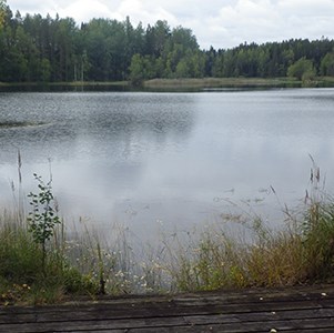 The pond at Hyttön. Photo.