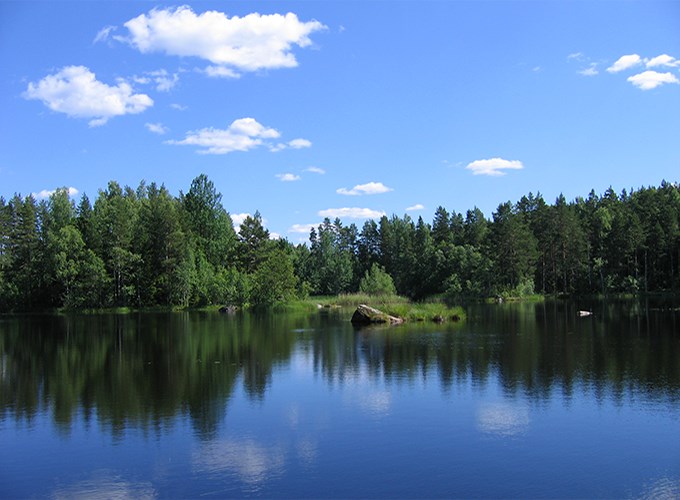View over a pond in Hyttön. Photo.