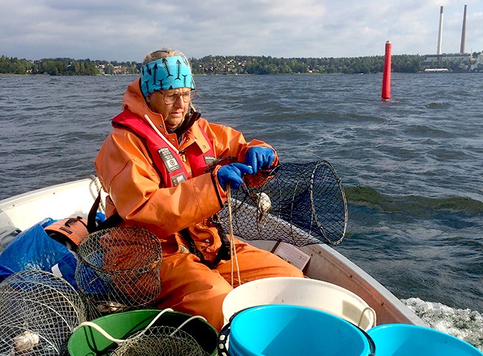 Personal på båt vid kräftprovfiske i Mälaren. Foto.