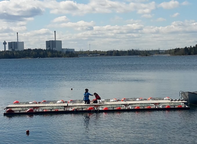 Personal på brygga bredvid mesokosmer. Foto.