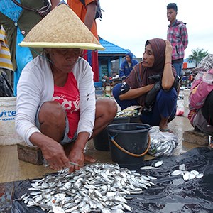 Människor som säljer fisk på fiskmarknad i Papau, Indonesien. Foto. 