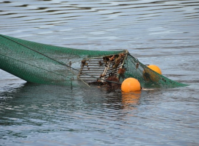 Trawl coming out of the water