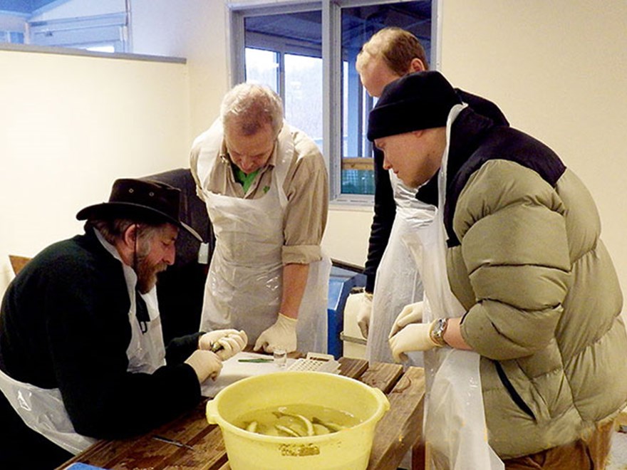 Märkning av laxfisk