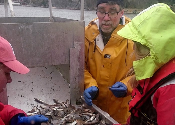 Students på fiskebåt