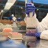 Lab 