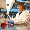 Researcher
