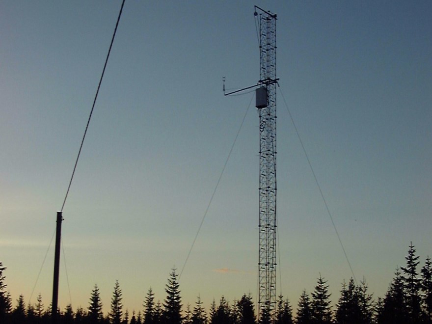 Mast höjer sig över skogen.