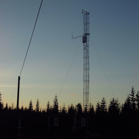 Mast höjer sig över skogen.