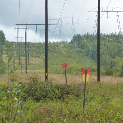 Bred öppen remsa i skogen, där finns en rad höga stolpar med ledningar på. Foto.