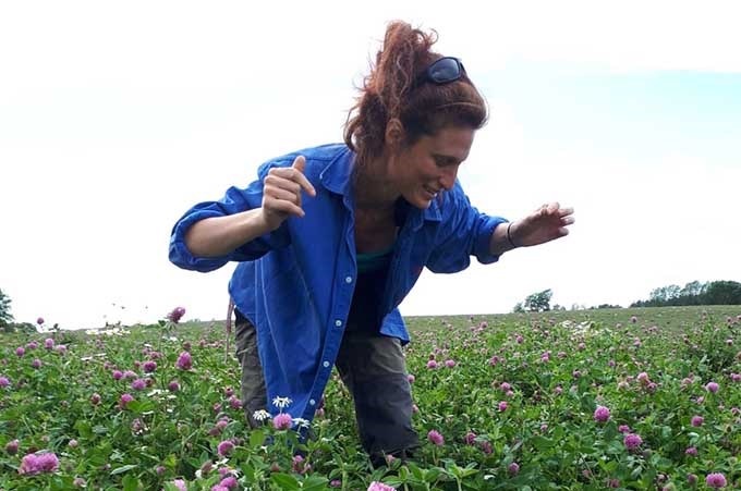 Woman in clover field.