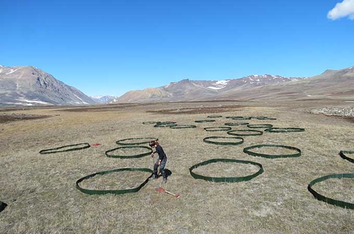 Big circles in an arctic landscape.