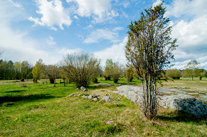 Pasture land.