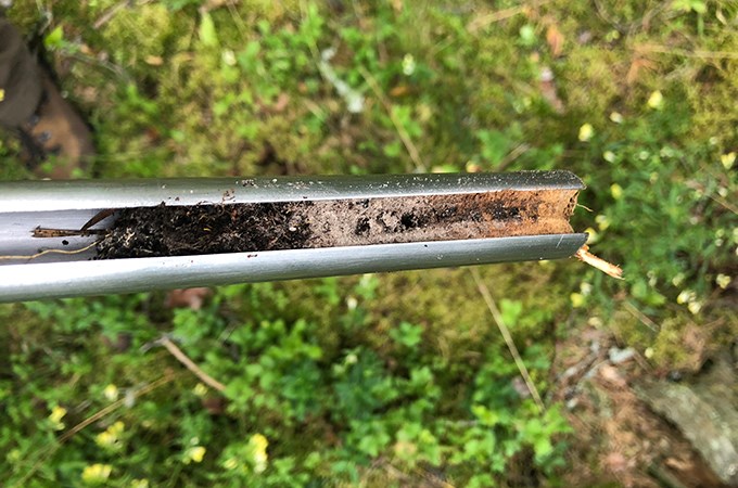 Soil sample.