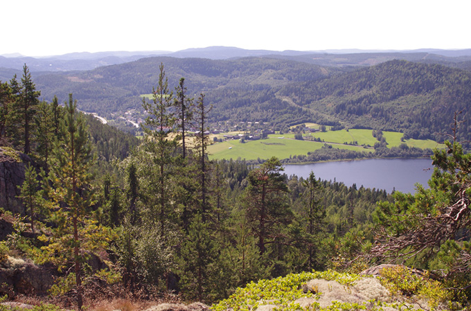 Landscape with forest, a lake and fields.