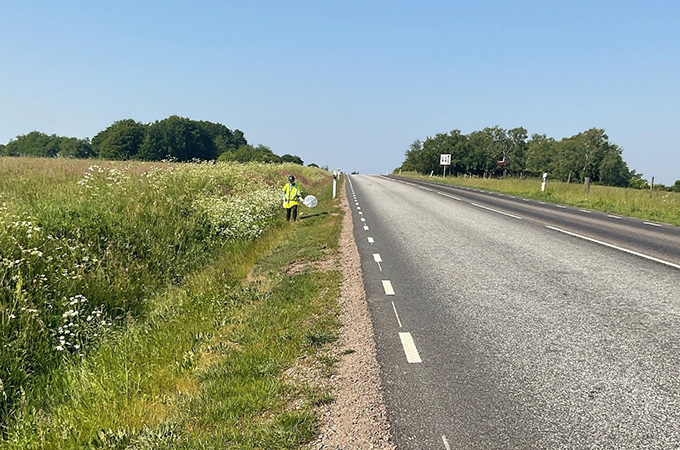 A road verge.