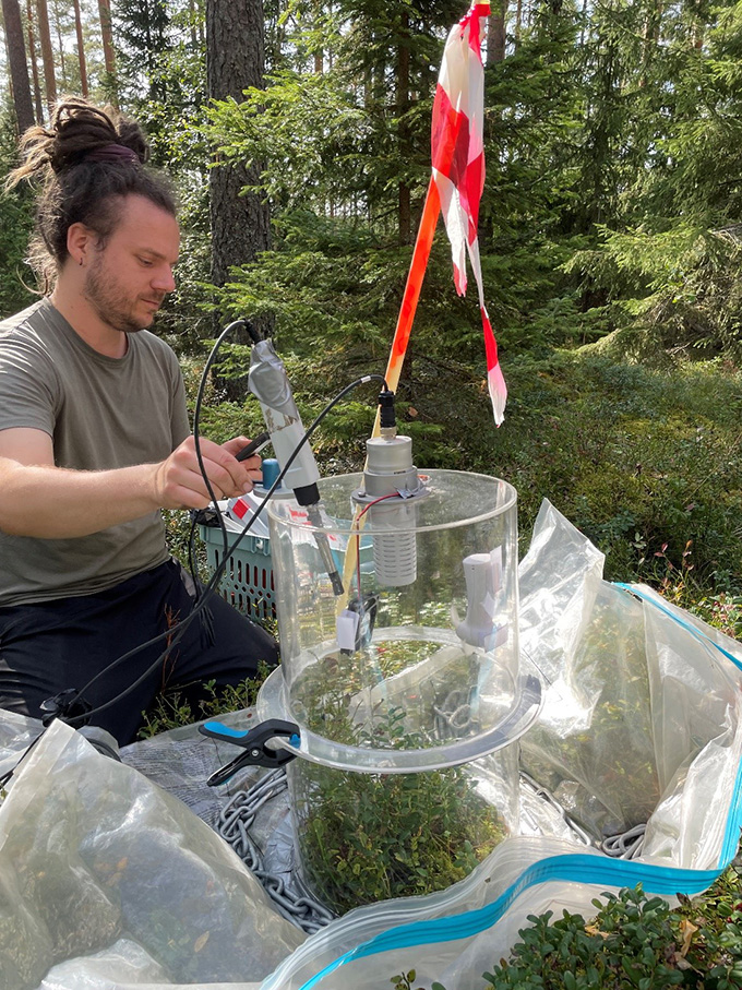 A person is working on a trial in the forest.