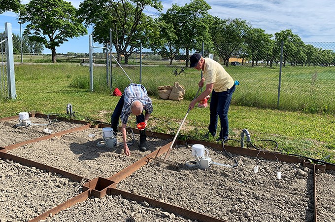 Two men are working with a field trial 