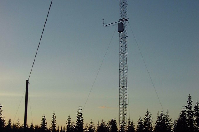 Mast.