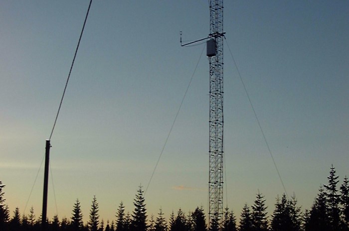 Mast.