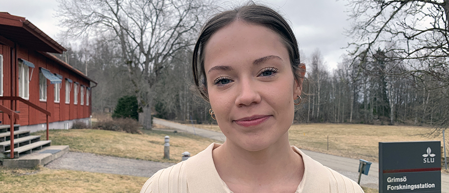 Porträttbild av Julia van de Munt, masterstudent som är med i ett fältteam med vid SLU:s forskningsstation i Grimsö, med fokus på att följa ett GPS-märke för att dokumentera deras rörelsemönster och beteende. Foto.
