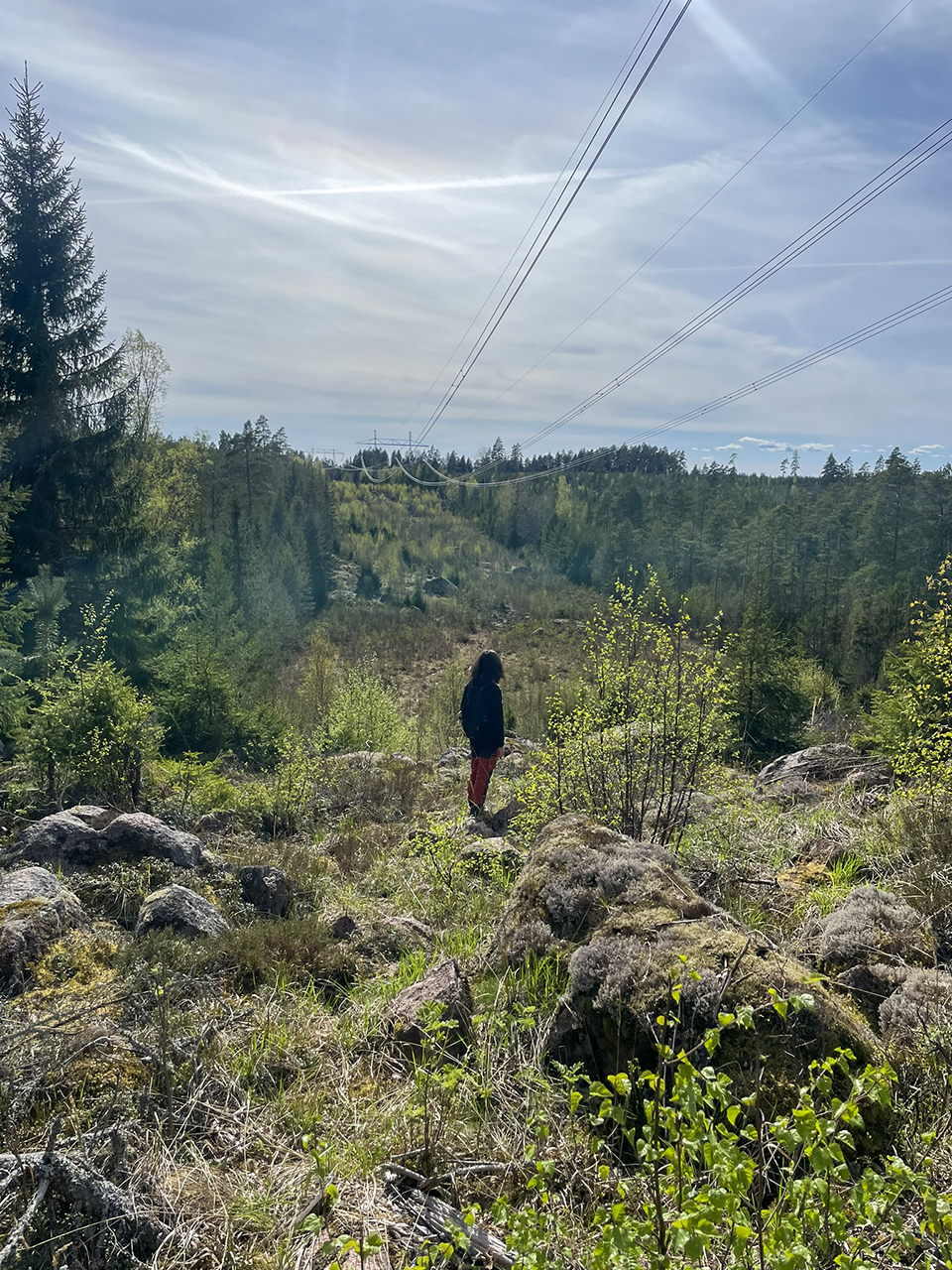 En person som står på stenar och tittar ner mot en kraftledningsgata som går genom skog. Foto.