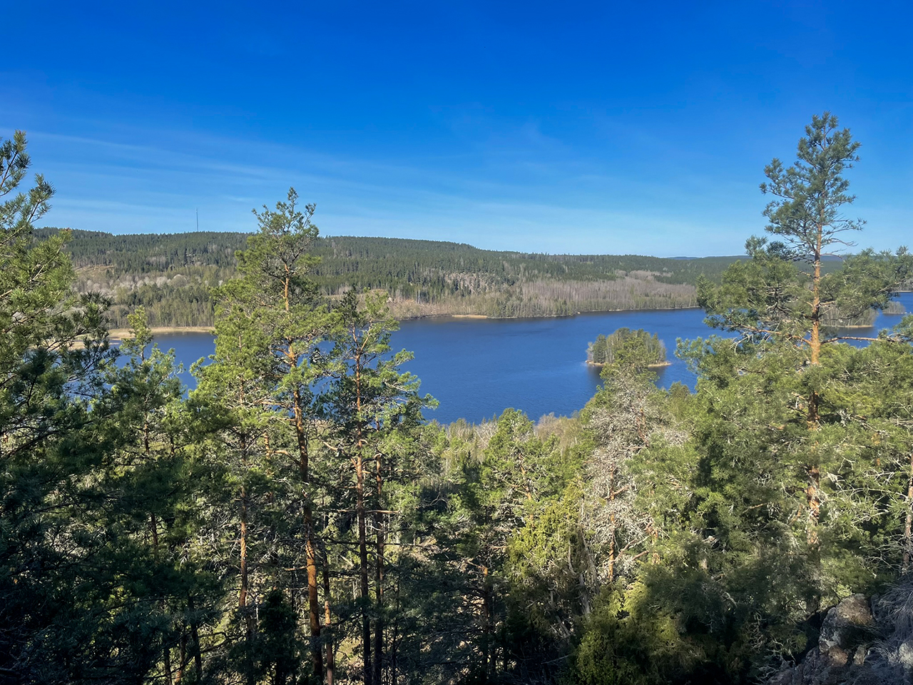 Vacker utsikt över en sjö med skog runtom. Foto.