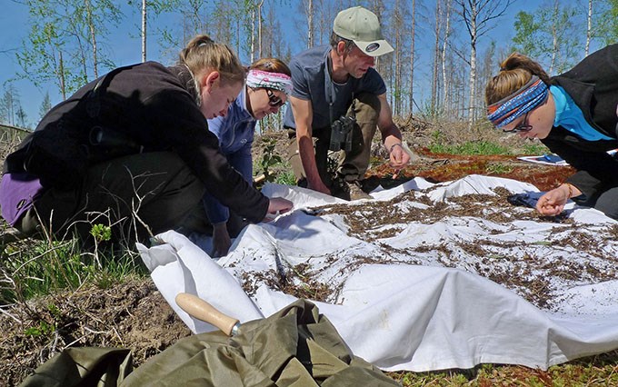 En grupp människor böjer sig över ett stort vitt tygstycke.