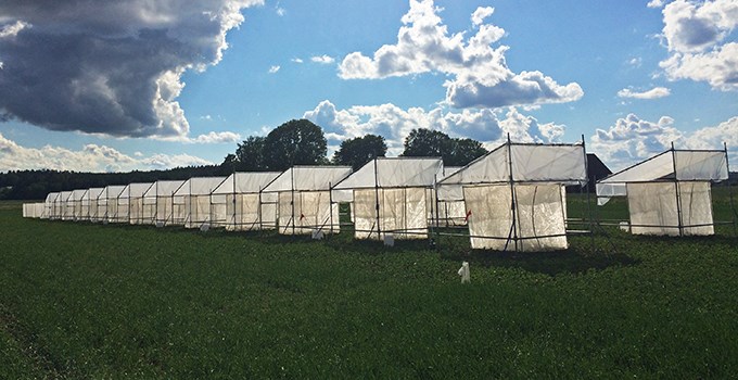 White cages on a field.