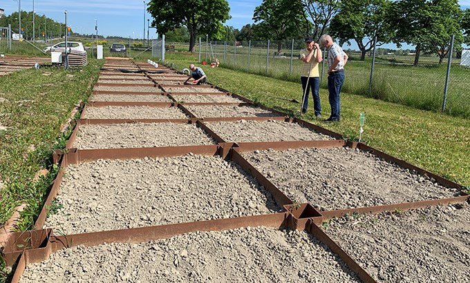 Fältförsök som består av små rutor. 