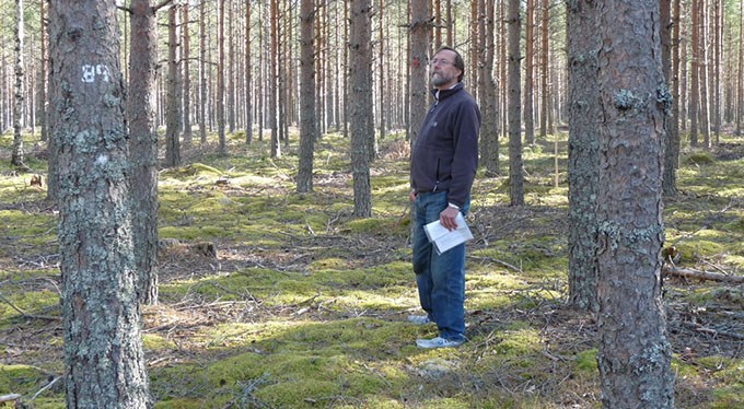 Man i skogen