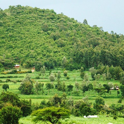 Jordbruksslätt, några gårdar och ett litet berg i bakgrunden.