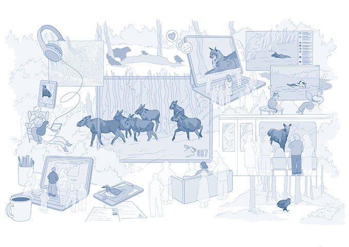 Illustration som visar hur älgar och fåglar lämnar skärmen och hur människor interagerar med dem.
