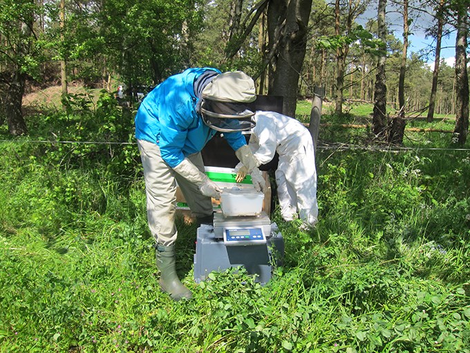 People working in a field.