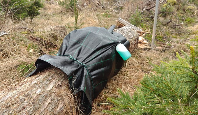 Stock invirad i plast, med en ansluten flaska.