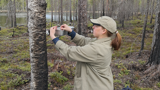 nyhet-naturvårdsbränder1.jpg