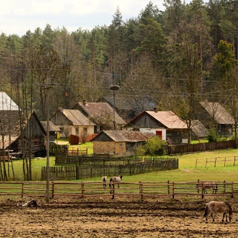 Några äldre hus vid en skog. Hästar i hage.