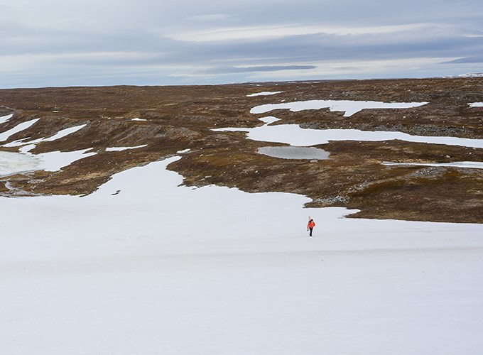 Fjällandskap med snöfält