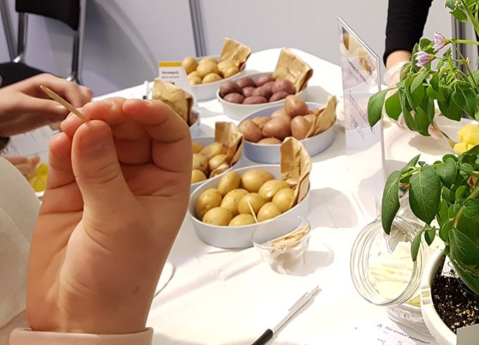 Skålar med potatis.