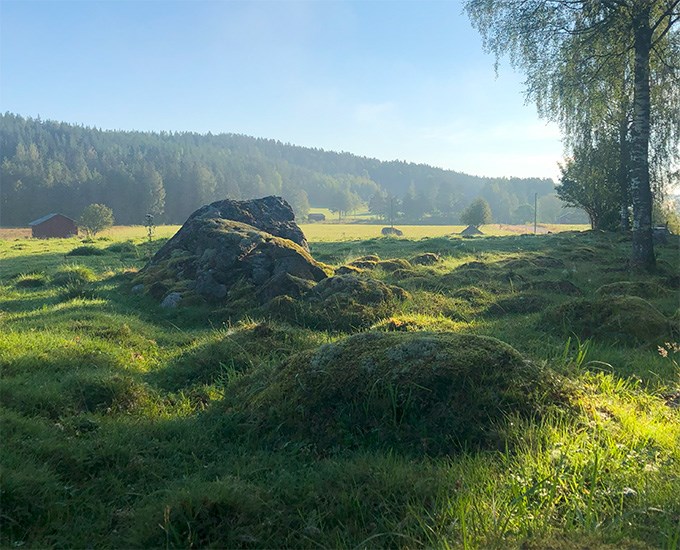 Öppen hagmark