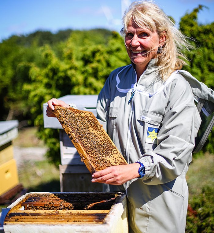 Woman holding a honey frame.